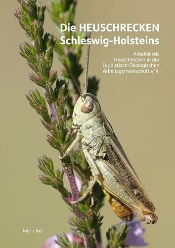 Die Heuschrecken Schleswig-Holsteins