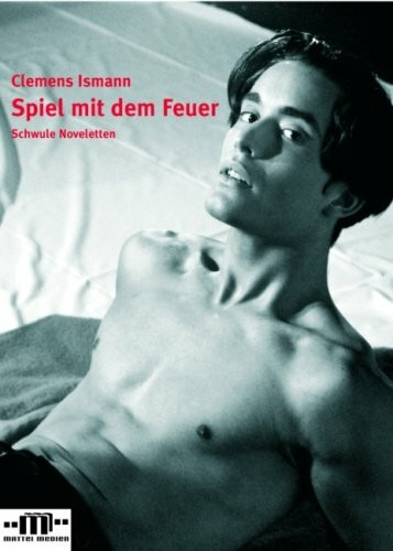 Spiel mit dem Feuer: Schwule Novelletten