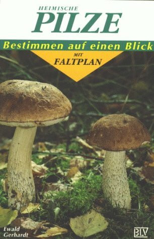 Heimische Pilze