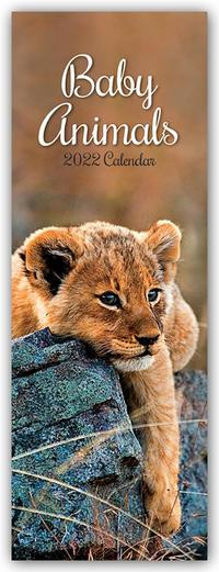 Baby Animals 2022 - Tierbabies. Slimline Calendar
