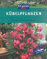Kübelpflanzen