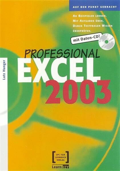 Excel 2003 Professional: An Beispielen lernen. Mit Aufgaben üben. Durch Testfragen Wissen überprüfen.