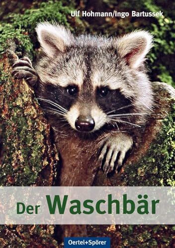 Der Waschbär