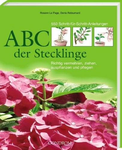 ABC der Stecklinge ABC der Stecklinge
