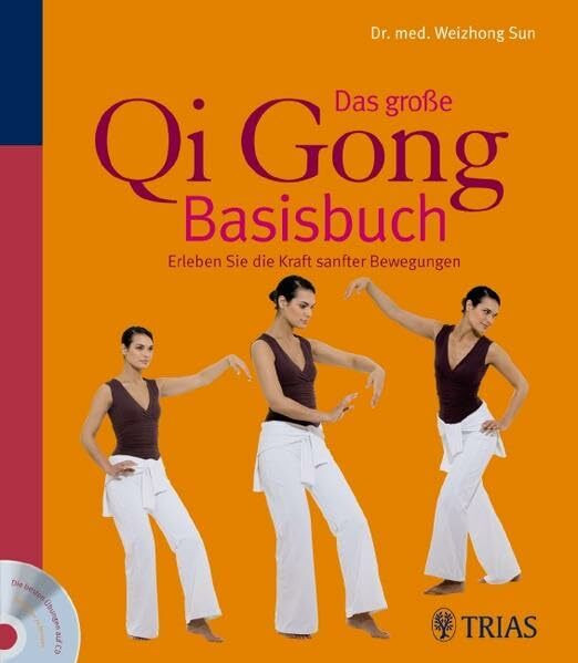 Das große Qi Gong Basisbuch: Erleben Sie die Kraft sanfter Bewegungen