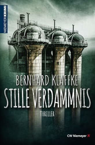 Stille Verdammnis: Thriller