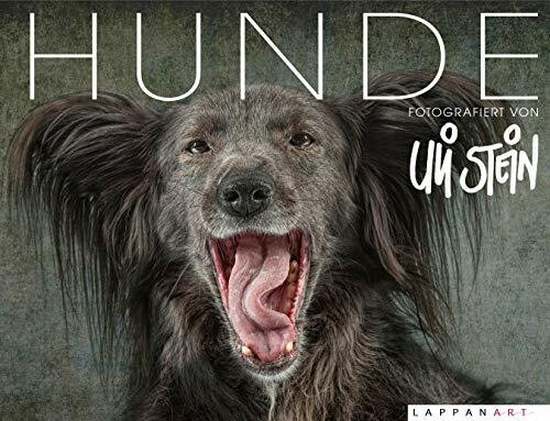 Hunde