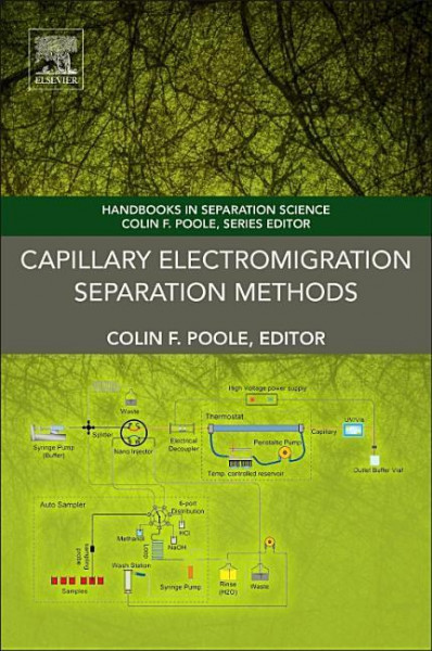 Capillary Electromigration Separation Methods