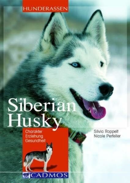 Siberian Husky: Charakter - Erziehung - Gesundheit