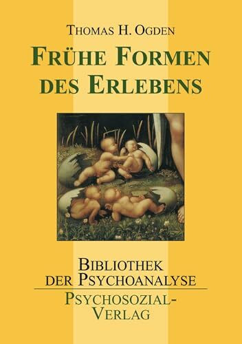 Frühe Formen des Erlebens (Bibliothek der Psychoanalyse)