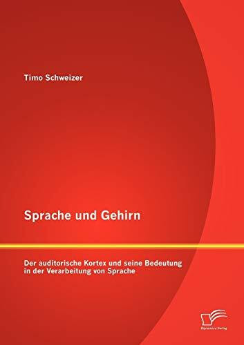 Sprache und Gehirn: Der auditorische Kortex und seine Bedeutung in der Verarbeitung von Sprache