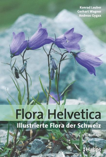 Flora Helvetica - Illustrierte Flora der Schweiz