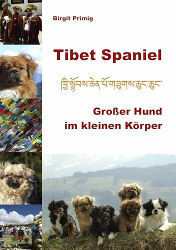 Tibet Spaniel: Großer Hund im kleinen Körper