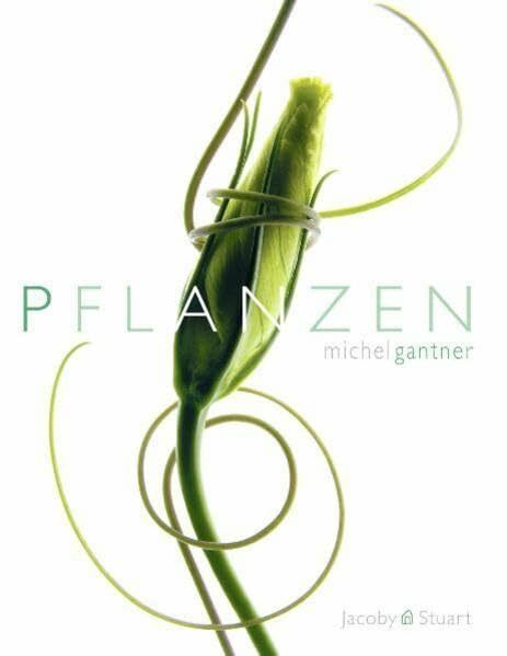 Pflanzen: Kunstwerke der Natur