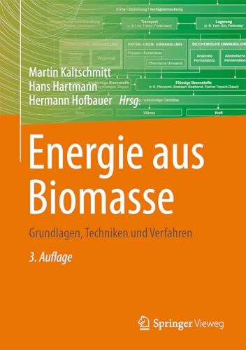 Energie aus Biomasse: Grundlagen, Techniken und Verfahren