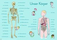 6 A1-Merk-Poster für den Sachunterricht  Jahreskreis, Körper, Waldtiere, Epochen, Kontinente, vom Korn zum Brot