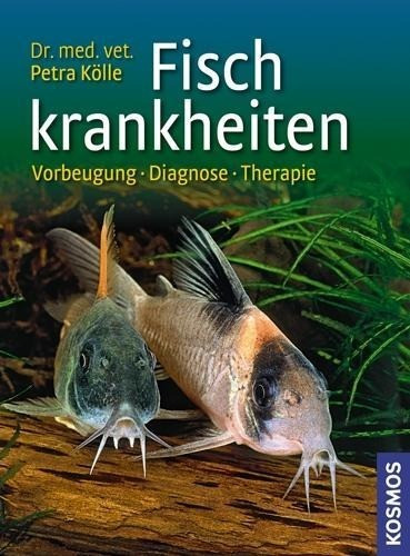 Fischkrankheiten