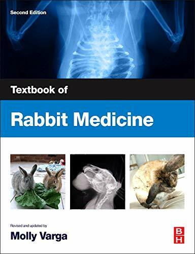 Textbook of Rabbit Medicine