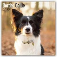 Border Collies 2022 - 18-Monatskalender mit freier DogDays-App