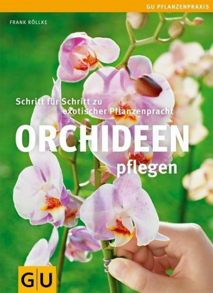 Orchideen pflegen