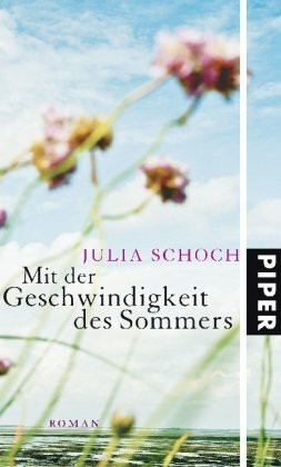 Mit der Geschwindigkeit des Sommers: Roman