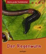 Der Regenwurm