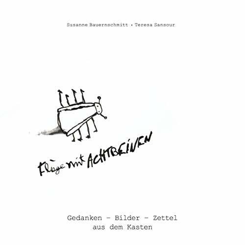 Fliege mit acht Beinen: Gedanken - Bilder - Zettel aus dem Kasten