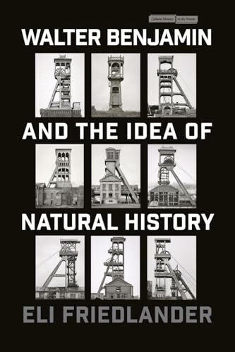 Walter Benjamin and the Idea of Natural History (Cultural Memory in the Present)