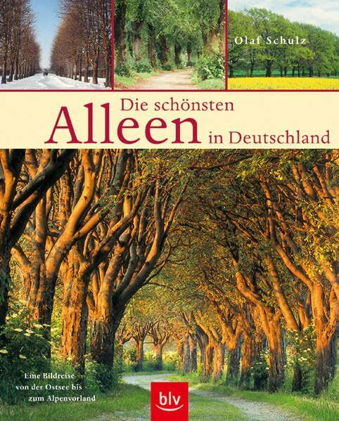 Die schönsten Alleen in Deutschland: Eine Bildreise von der Ostsee bis zum Alpenvorland