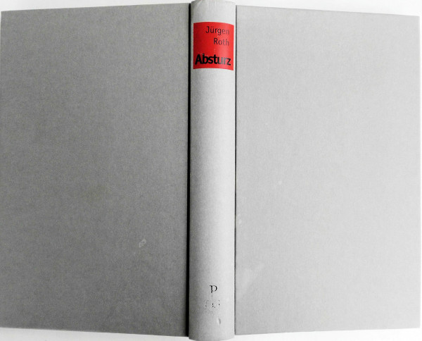 Absturz: Das Ende unseres Wohlstands