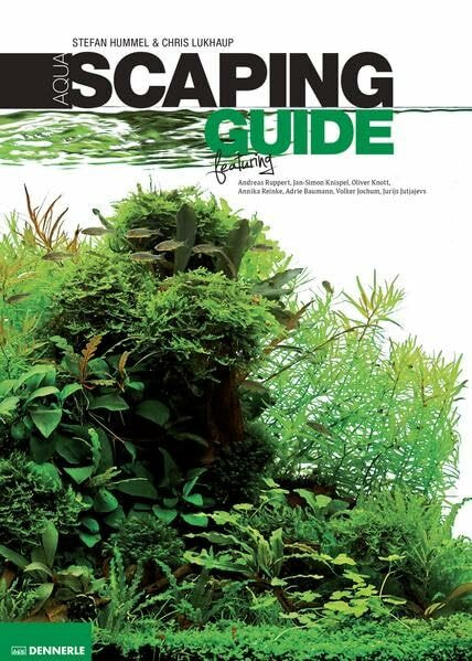 Aquascaping Guide