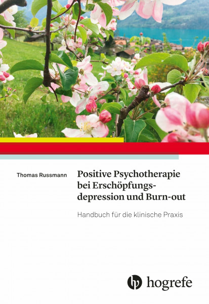 Positive Psychotherapie bei Erschöpfungsdepression und Burn–out: Handbuch für die klinische Praxis
