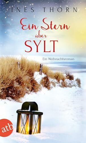 Ein Stern über Sylt: Ein Weihnachtsroman