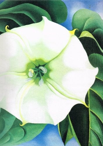 Blumen