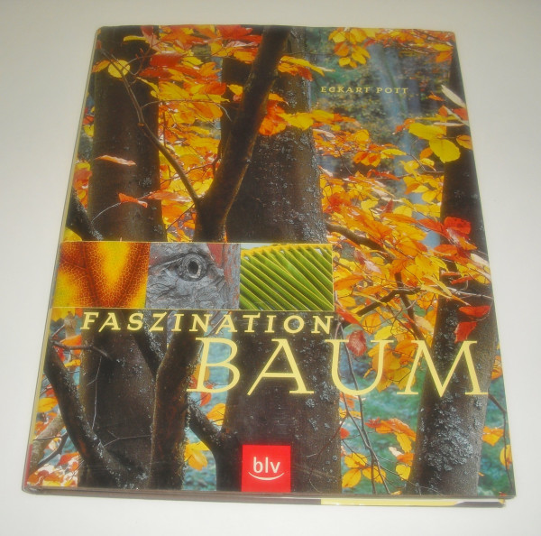 Faszination Baum
