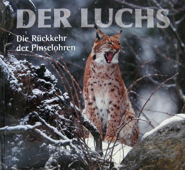 Der Luchs: Die Rückkehr der Pinselohren