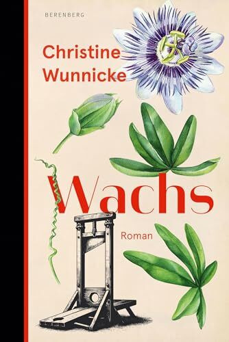 Wachs