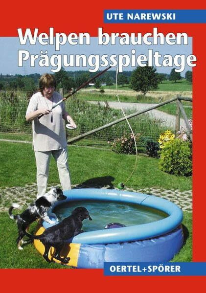 Welpen brauchen Prägungsspieltage. Als Geschwisterersatz und zur behutsamen Frühsterziehung