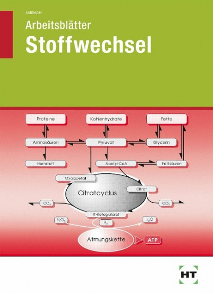 Grundfragen der Ernährung. Arbeitsblätter Stoffwechsel