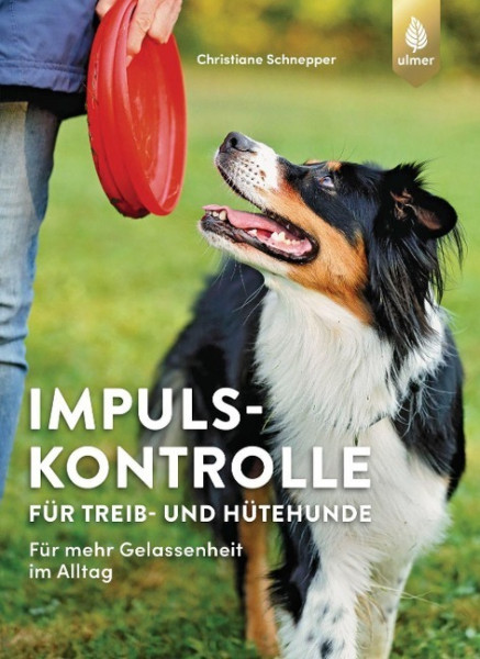 Impulskontrolle für Treib- und Hütehunde