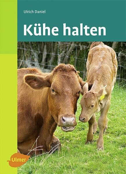 Kühe halten