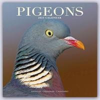 Pigeons - Tauben 2023 - 16-Monatskalender