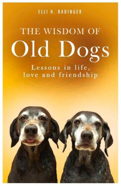 The Wisdom of Old Dogs