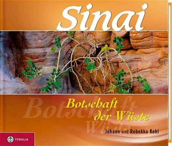 Sinai: Botschaft der Wüste