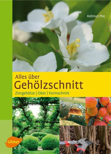 Alles über Gehölzschnitt: Ziergehölze, Obst, Formschnitt