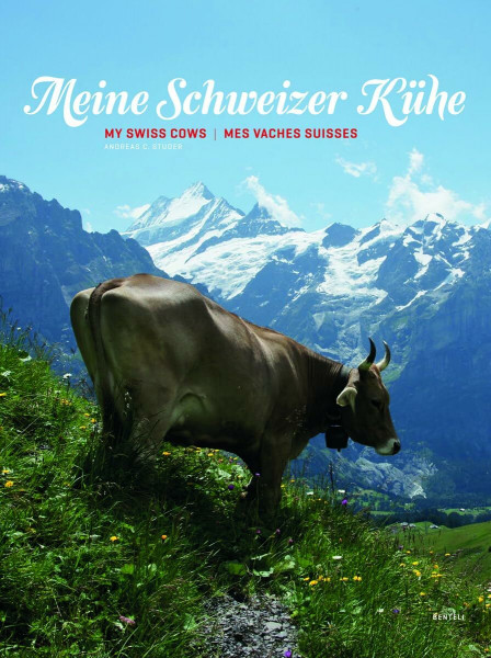 Meine Schweizer Kühe. My Swiss cows. Mes vaches Suisses