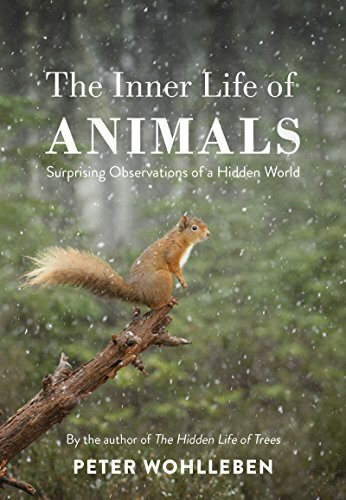 The Inner Life of Animals: Surprising Observations of a Hidden World