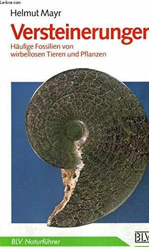 Versteinerungen. Häufige Fossilien von wirbellosen Tieren und Pflanzen