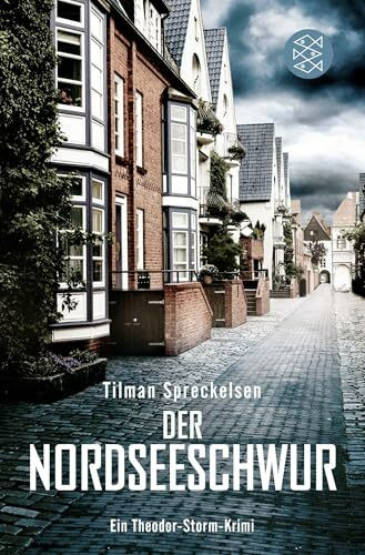 Der Nordseeschwur: Ein Theodor-Storm-Krimi