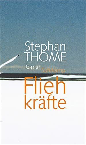 Fliehkräfte: Roman